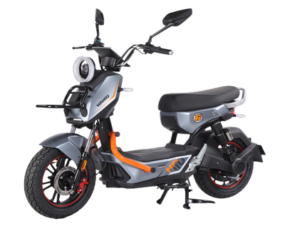 Electric Bicycles